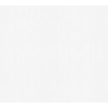 A.s. Creation Meistervlies 932419 Vliestapete Streifen 1.06 m x 25 m Weiß