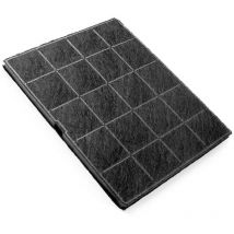 Filtre à charbon 08999113 - Best