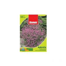 Beutel mit Aubretia Blue Waterfall-Samen