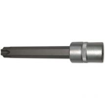 Punte torx 1/2 quadre, corte, lunghe o forate, in dettaglio - bitscarr12 : Torx 70 Lungo 140 mm