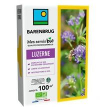 Luzerne - boite de 500 g - Graines