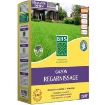 Rasen-samen - Bhs - Rasen Nachsaat 3kg