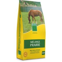 Rasen-samen - Bhs - Wiesenmischung 5kg 500m² Für Extensive Flächen Und Weide Schnell, Robust, Pflegeleicht.