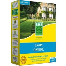Rasen-samen - Bhs - Schattenrasen 1kg 40m² Widerstandsfähig Gegen Schwaches Licht Und Schattige Bereiche.