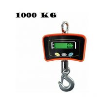 Bilancia Da Gru 1000 Kg Con Gancio Acciaio Inox x Uso Industriale a Sospensione