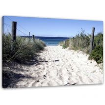 Feeby - Bild auf Leinwand, Weg durch die Dünen zum Strand – 90x60