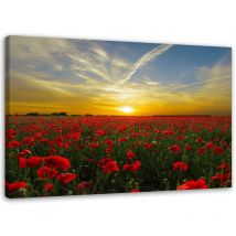 Bild auf Leinwand, Wiese mit roten Mohnblumen in der Sonne - 120x80