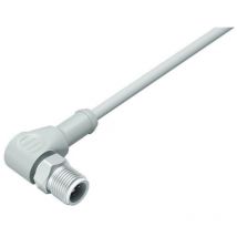 Binder - 77 3727 0000 40403-0500 Sensor-/Aktor-Steckver konfektioniert M12 Stecker, gerade 1