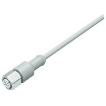 Binder - 77 3730 0000 40405-0200 Sensor-/Aktor-Steckver konfektioniert M12 Kupplung, gerade 1