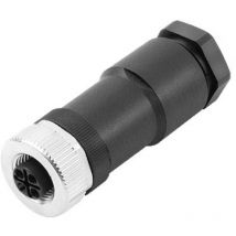 99 0686 19 03 Miniatur-Rundsteckver Kupplung, gerade Gesamtpolzahl: 2 1 St. - Binder