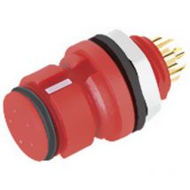 Binder - 99 9208 050 03 Rundstecker Buchse, Einbau Gesamtpolzahl: 3 Serie (Rundsteckver ): 620 2