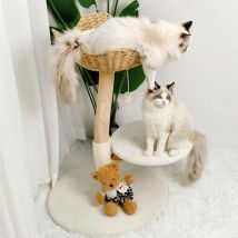 Bingopaw Tiragraffi per Gatti Albero Giochi Torre per Gatti Alto 91cm in Legno Massiccio