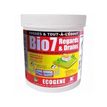 Ecogene - Regards et drains fosses septiques et tout-à-l'égout - 800 g