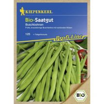 Bio-Saatgut Hülsenfrüchte Maxi Phaseolus vulgaris var. nanus, Inhalt ca. 8 lfd. Meter Gemüsesamen - Kiepenkerl