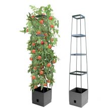 Torre per piante Bio Green «Maxitom» con ausilio per l'arrampicata e serbatoio d'acqua da 2 litri capacità 16 litri altezza 150 cm colore antracite,