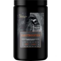 Biofib - biofeed Horse&Pony Electrolytes - électrolytes pour chevaux - 900g