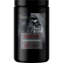 Biofib - biofeed Horse&Pony Muscles - Mélange alimentaire complémentaire pour chevaux soutenant les muscles - 1kg