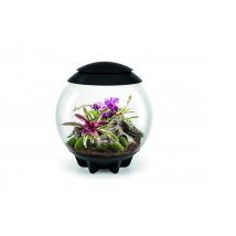 oase air 60 nero - Air 60 black - oase