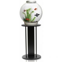 Classic 30L Aquarium in Silver with mcr led Lighting and Black Stand - Biorb