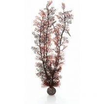 Biorb - Sea Fan, Extra Large, Crimson