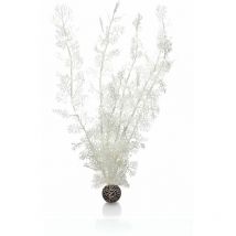 Biorb - Sea Fan, Extra Large, White