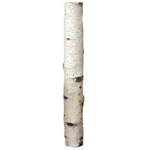 Birkenholzsticks 100% Natur 40 cm Durchmesser 5-6 cm Deko-Objekte