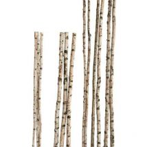 Birkenstamm 180 cm ø 2-4 cm Birkenholz Birke Deko Holz