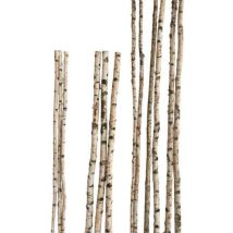 Birkenstamm 90 cm - ø 4-6 cm Birkenholz Birke Deko Holz