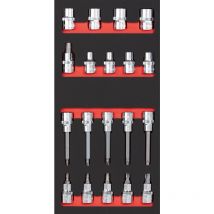 Bit-Steckschlüsselsatz 1/2' tx 19-tlg. 20x40 Einlage
