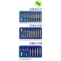 Bitsatz Hex Vielzahn Torx 41 Tlg.