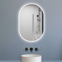Miroir salle de bain led 45x90cm tricolore + anti-buée + dimmable + mémoire - Biubiubath