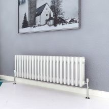 Biubiubath - Traditional Cast Iron Radiator 300x1010mm 3 Column White