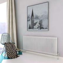 Biubiubath Traditional Cast Iron Radiator 600x1460mm 3 Column White