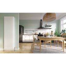 Biubiubath - Traditional Cast Iron Radiator 1800x560mm 3 Column- Perfect for Kithcen, Living Room, Bathroom Vertical White Triple Radiators