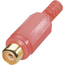 0105002/t Cinch-steckverbinder Buchse, Gerade Polzahl: 2 Rot 1 St. - Bkl Electronic