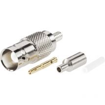 0401269/D 0401269/D BNC-Steckverbinder Buchse, gerade 50 ω 1 St. - Bkl Electronic