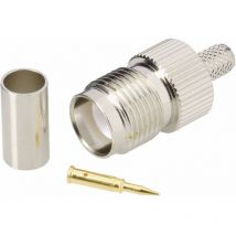 Bkl Electronic - 0419413 0419413 Connecteur tnc à polarité inversée mâle, droit 50 ω 1 pc(s)