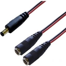 Bkl Electronic - 075916 Répartiteur dc dc mâle - raccord dc 5.5 mm 2.1 mm 0.30 m 1 pc(s) Single