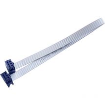 Bkl Electronic - 10120666 Câble en nappe Pas: 2.54 mm 6 x 0.08 mm² gris 1 pc(s) Q724602
