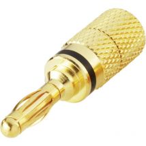 BKL Electronic 0103028 Lamellenstecker Stecker, gerade Stift-Ø: 4 mm Schwarz 1 St.