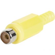 Bkl Electronic - 1108012/T Cinch-Steckverbinder Buchse, gerade Polzahl: 2 Gelb 1 St.