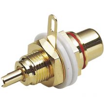 0101141 Connettore rca Presa Numero Poli (num): 2 Nero 1 pz. - Bkl Electronic