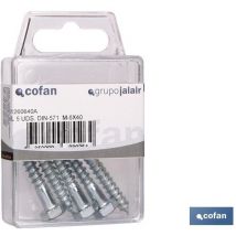 Boulon à vis din 571 M-8x100 (Blister 2 unités)