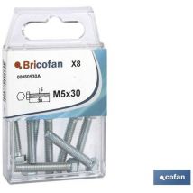 Vis hexagonales din 933 en zinc blister 6 unités. M-6x40