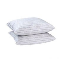Lot de 2 oreillers Plumes - 60x60 cm - Blanreve