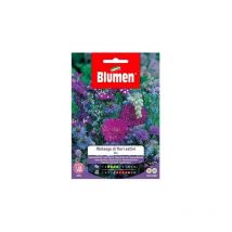 Blaue Sommer Blumen Melange