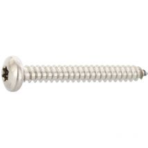 ISO14585 2.9X 19 Torx10 Edelstahl A2 Linsen-Blechschraube DIN7981C