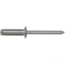 ISO15981 Blindniete Flachrundkopf 4.0x 6 Aluminium mit Aluminiumdorn