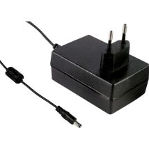 Mean Well - Bloc d'alimentation à tension fixe GSM18E12-P1J n/a 1.5 a 18 w 1 pc(s)