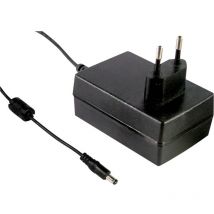 Bloc d'alimentation à tension fixe Mean Well GST18E24-P1J sortie n/a 750 mA 18 w 1 pc(s)